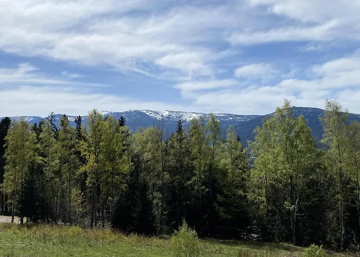 Apartament Soft Mountain *